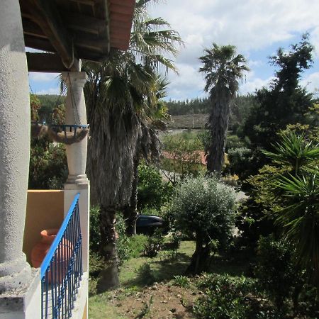 Casa Amarela Διαμέρισμα Sao Pedro de Tomar Εξωτερικό φωτογραφία